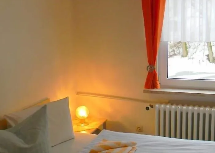 Szálloda Waldmuehle 2*